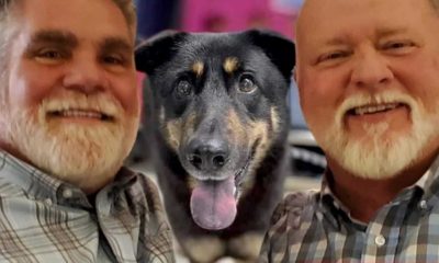 Montagem de fotos com dois homens e um cachorro