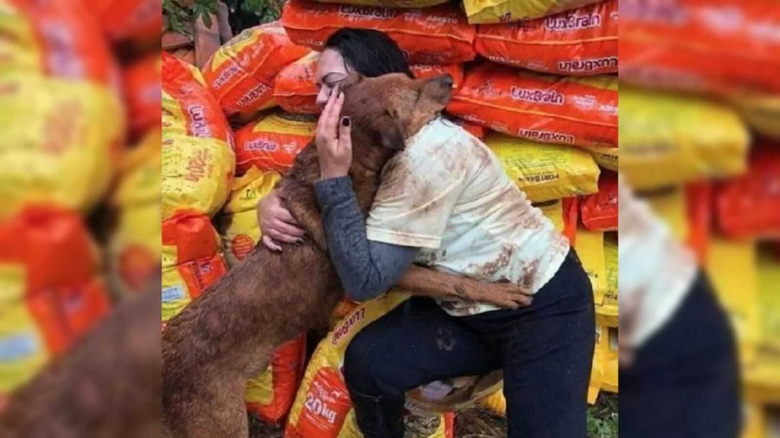 Cachorro abraçando mulher