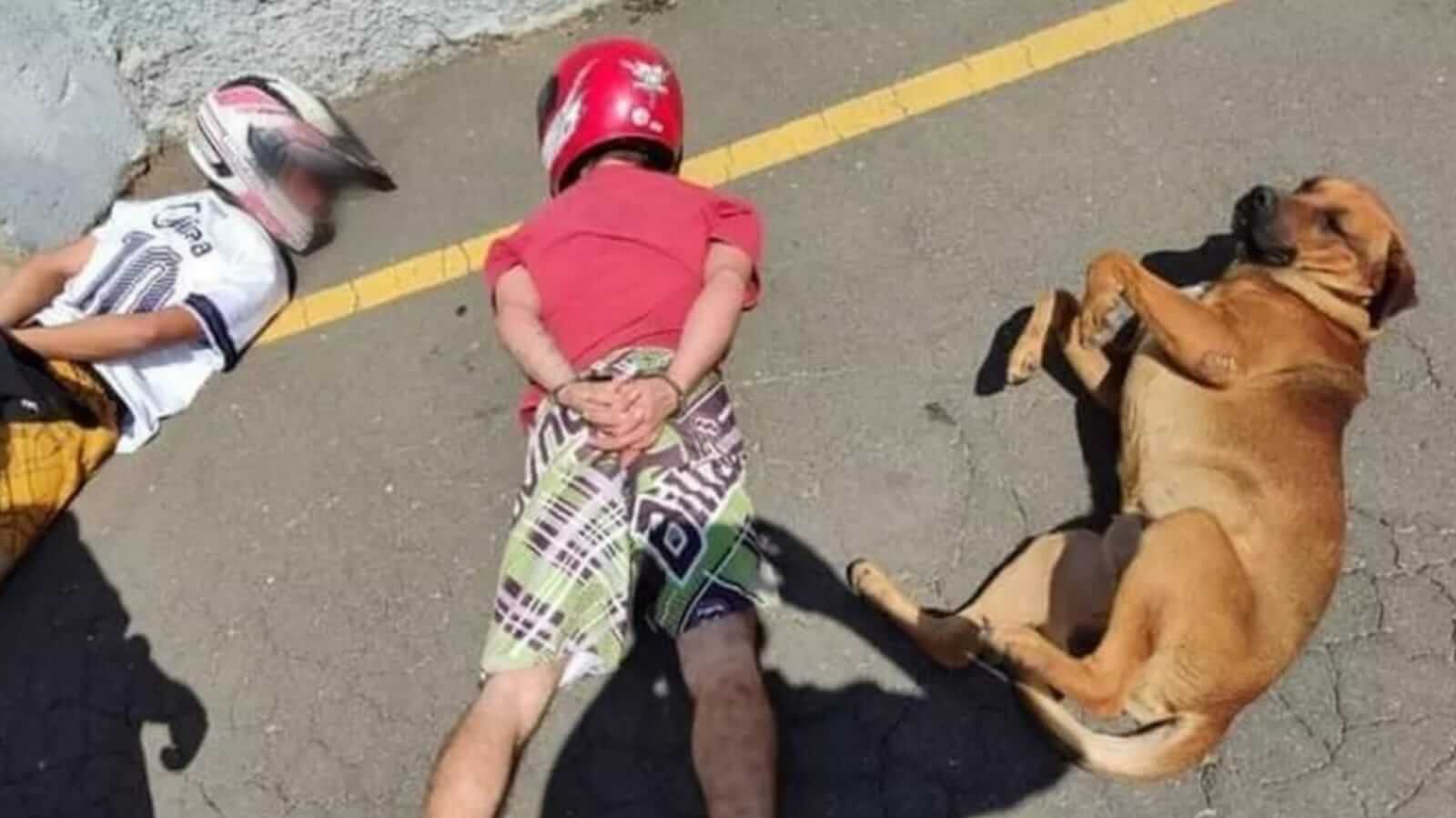 Cachorro deitado no chão com dois homens algemados