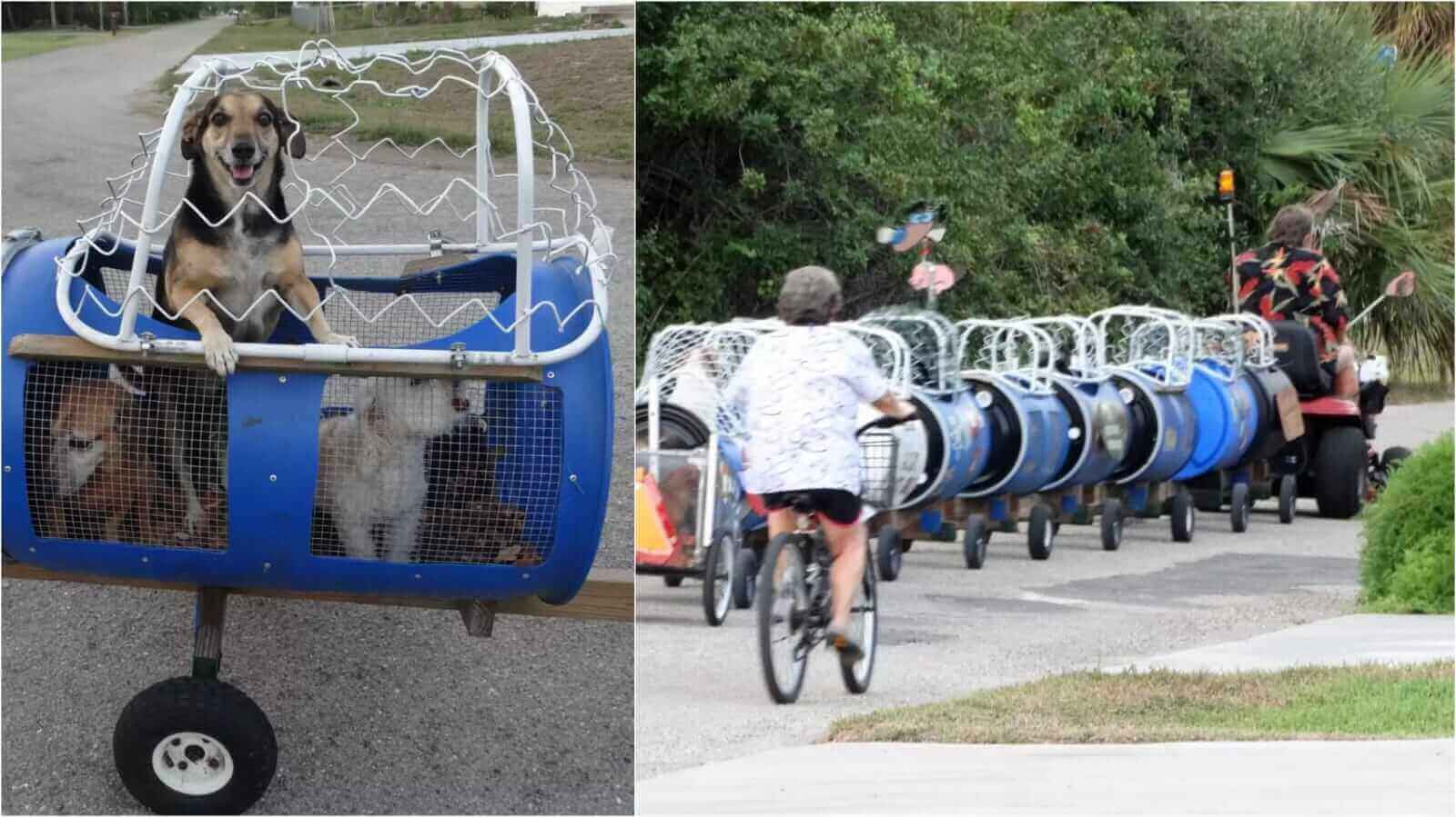 Cachorros em carrinho azul e trem com cachorros