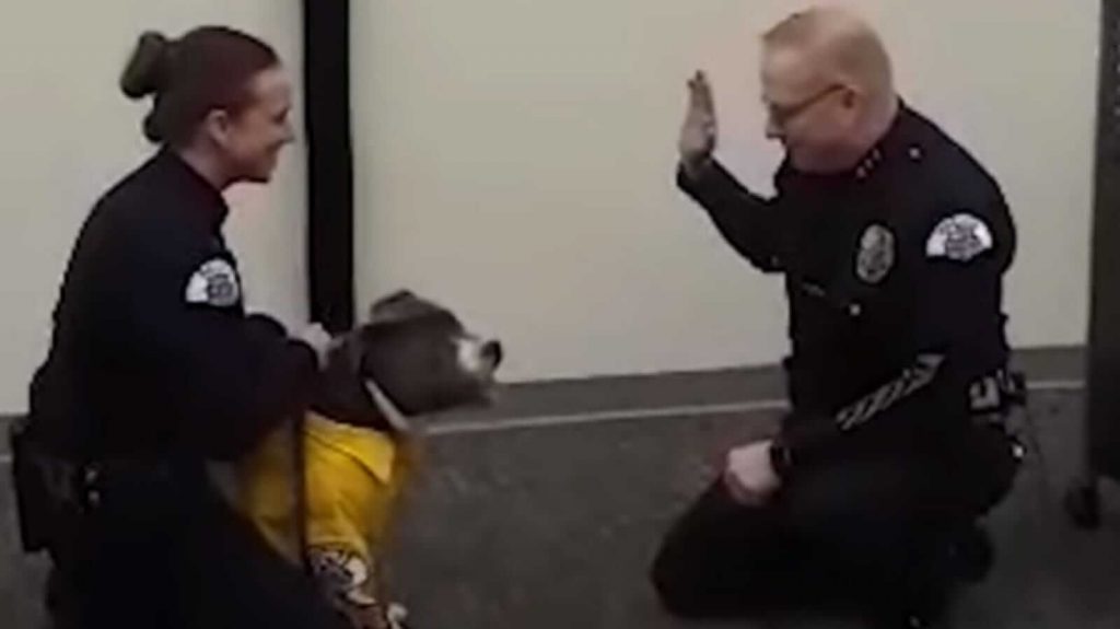 Policiais com cachorro