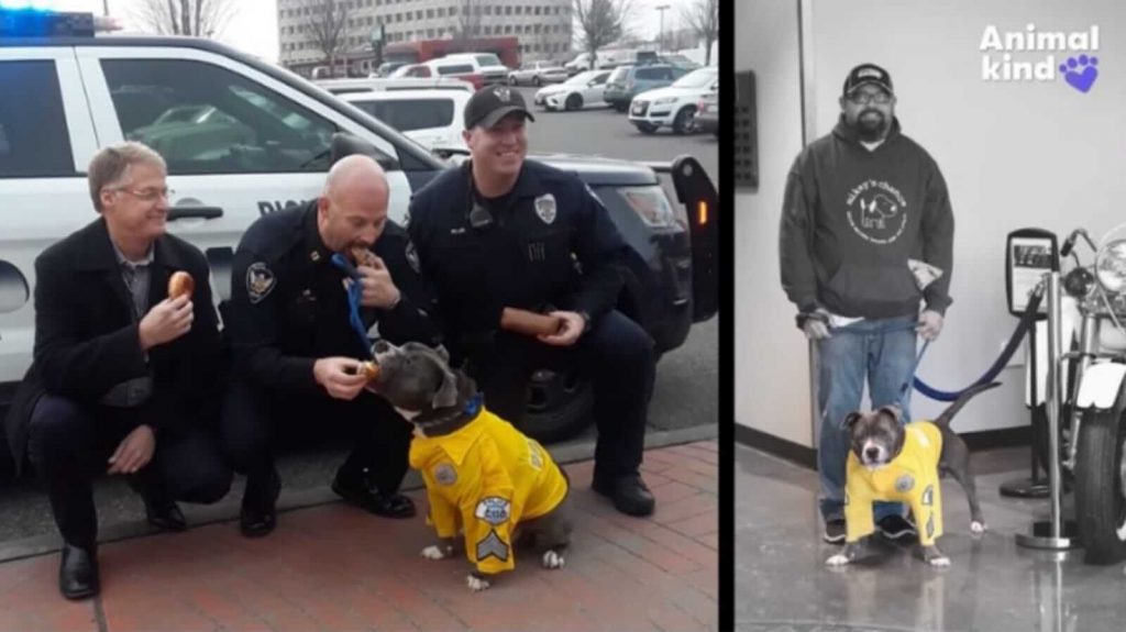 Cachorro com policiais