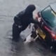 Cachorro e mulher empurrando carro em enchente