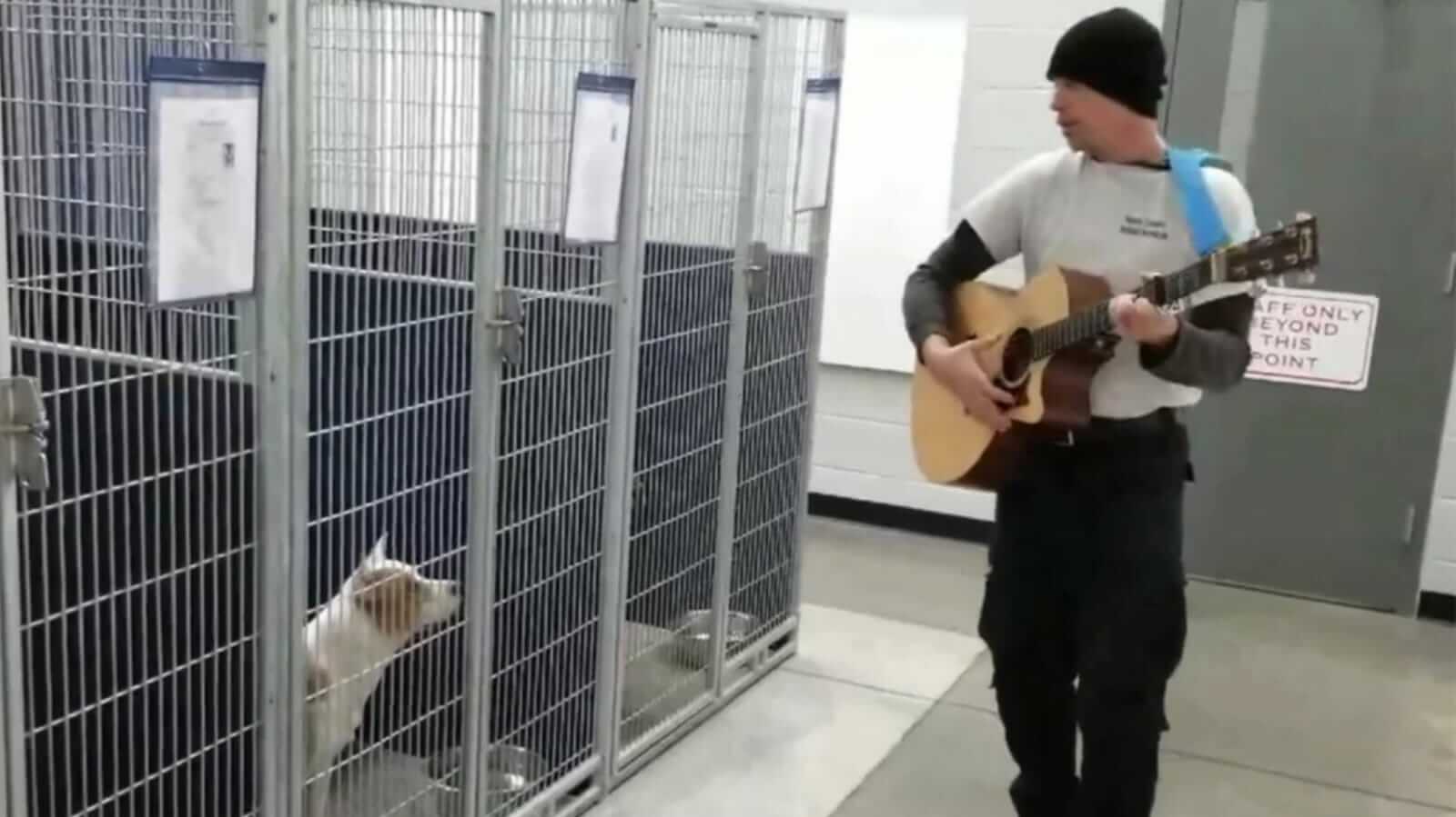 Homem tocando violão para cachorro em abrigo