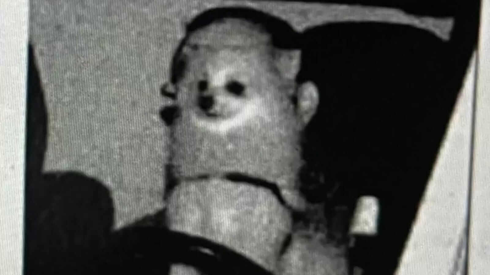 Foto em preto e branco de cachorro em carro