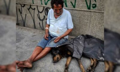 Homem em situação de rua e cachorro deitado
