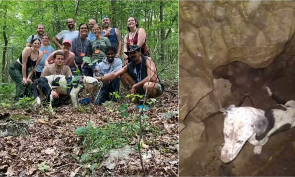 Grupo de exploradores com cachorro encontrado em caverna