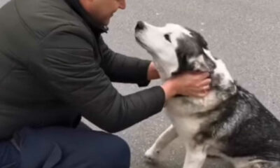 Homem reencontrando cachorro