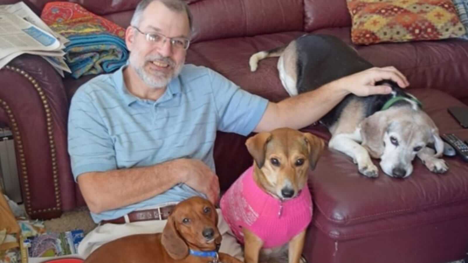 homem cria abrigo para cachorro idosos serem adotados