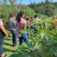 professoras em uma horta para a entender implementação do programa inova na Horta