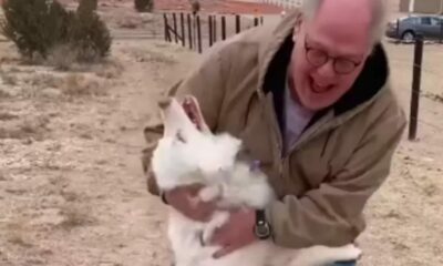 Idoso abraçando cachorro