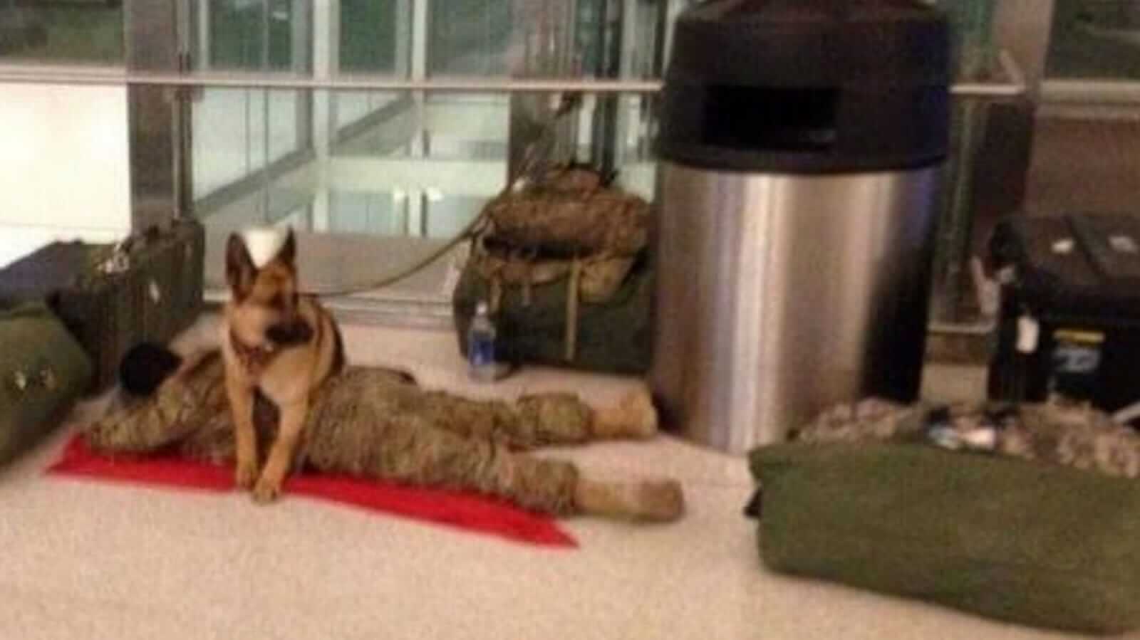Cachorro pastor alemão deitado em cima de soldado dormindo no chão