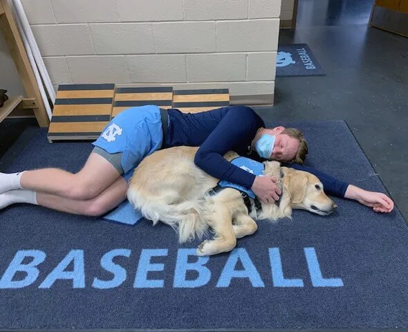 A man lying on the ground with a golden retriever dog