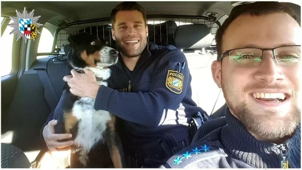 Policial com cachorro em viatura