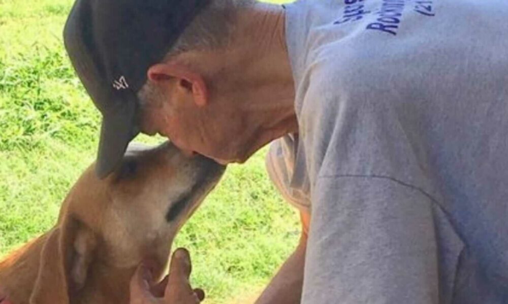 Homem beijando cachorro