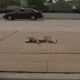 Cachorro husky dormindo na calçada