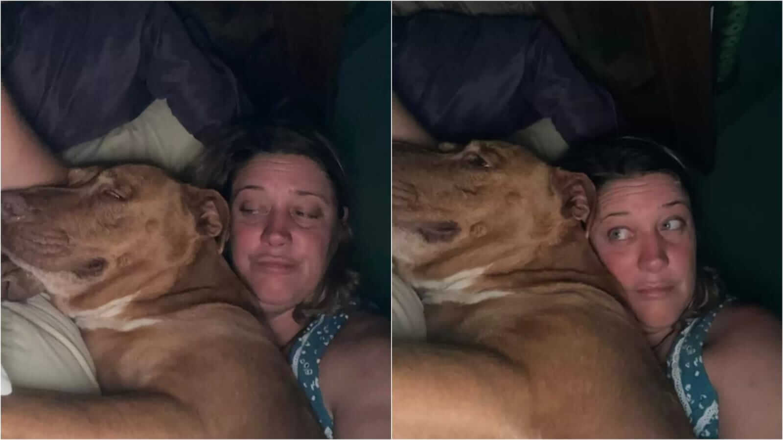Mulher deitada com cachorro