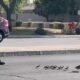 Policial ajudando patos a atravessar a rua