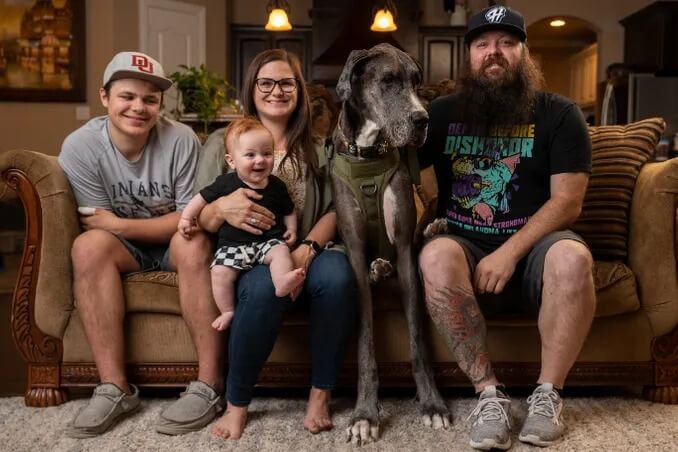 Família e cachorro no sofá