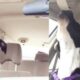 Cachorro uivando em carro