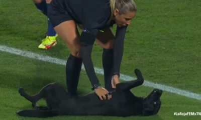 Cachorro com jogadora em campo de futebol