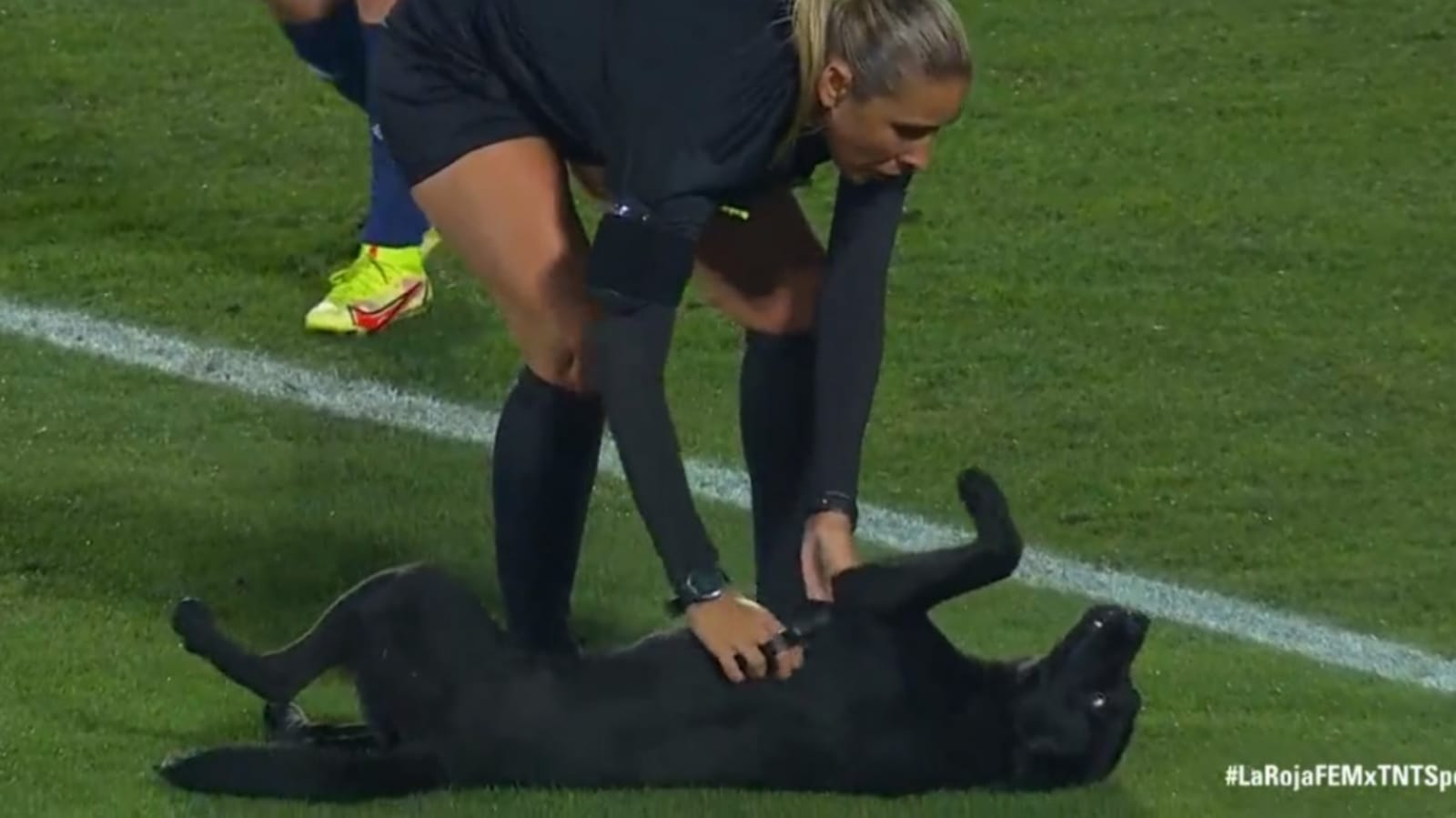 Cachorro com jogadora em campo de futebol