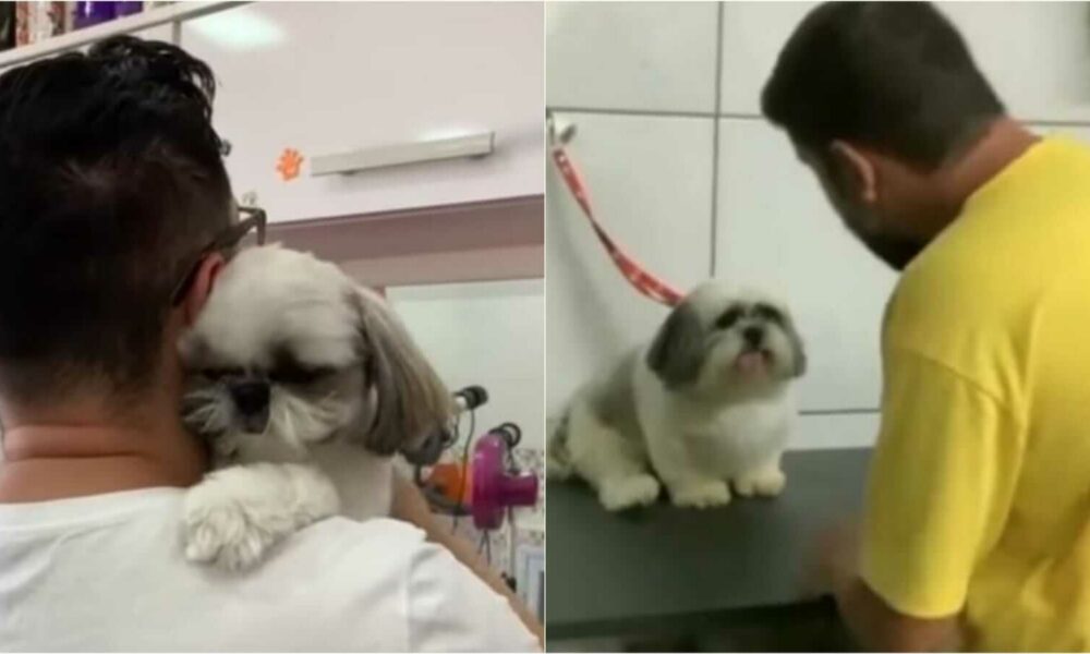 Homem com cachorro em pet shop