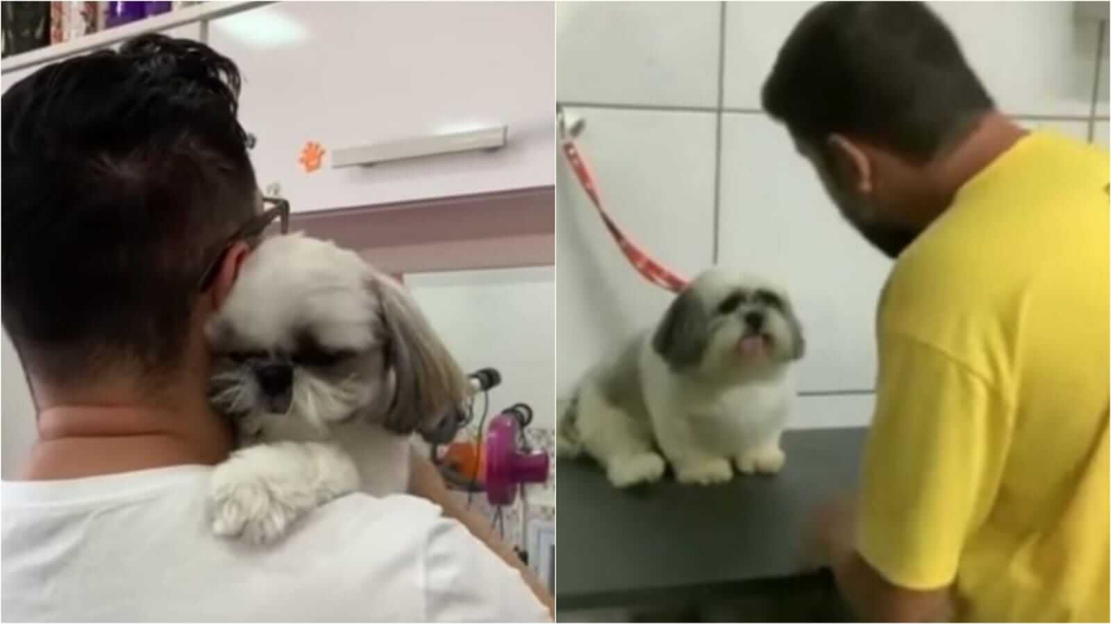 Homem com cachorro em pet shop