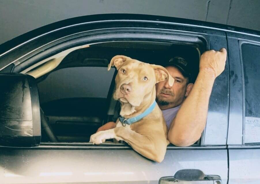 Homem e cachorro no carro