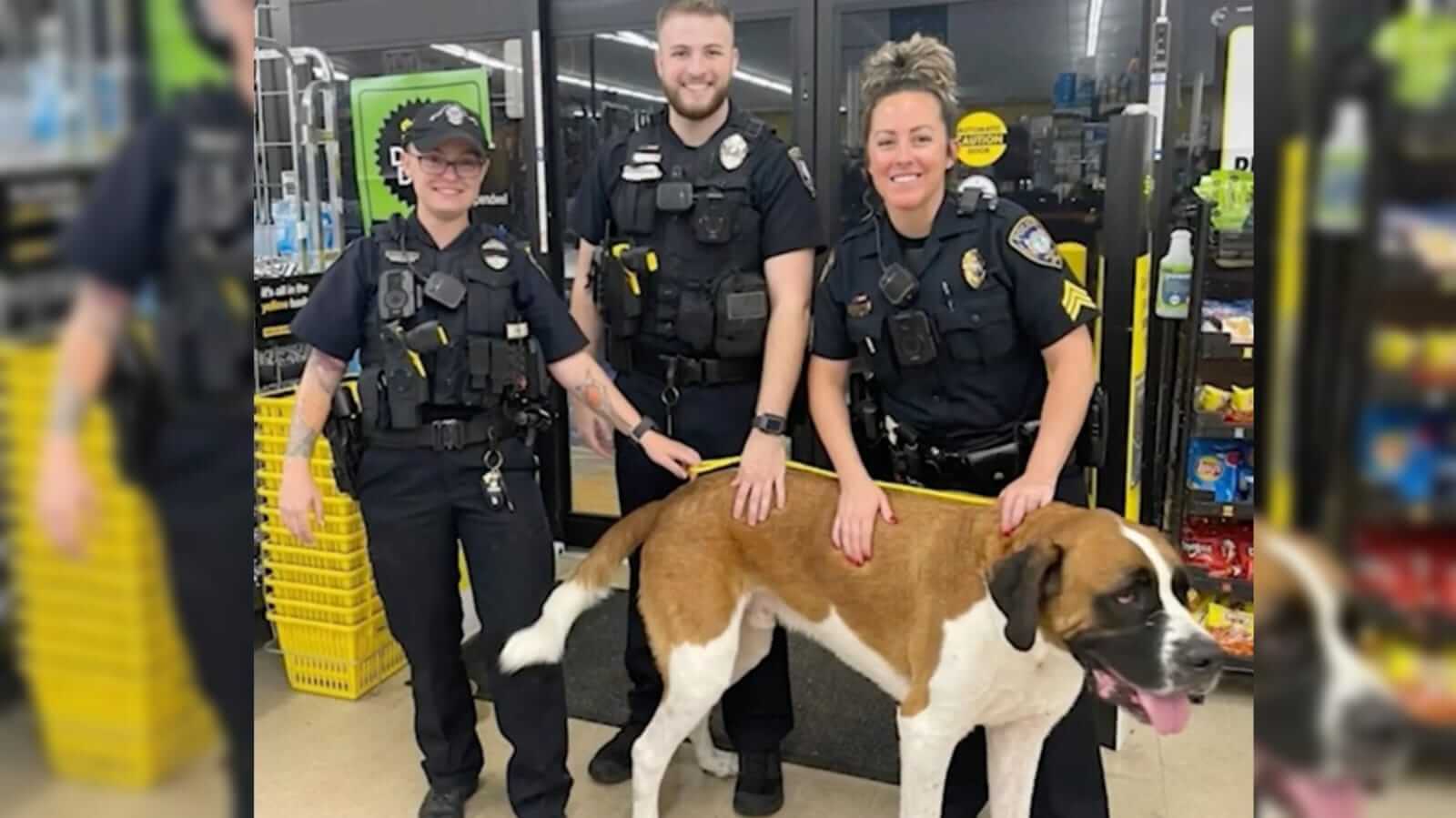 Policiais com cachorro