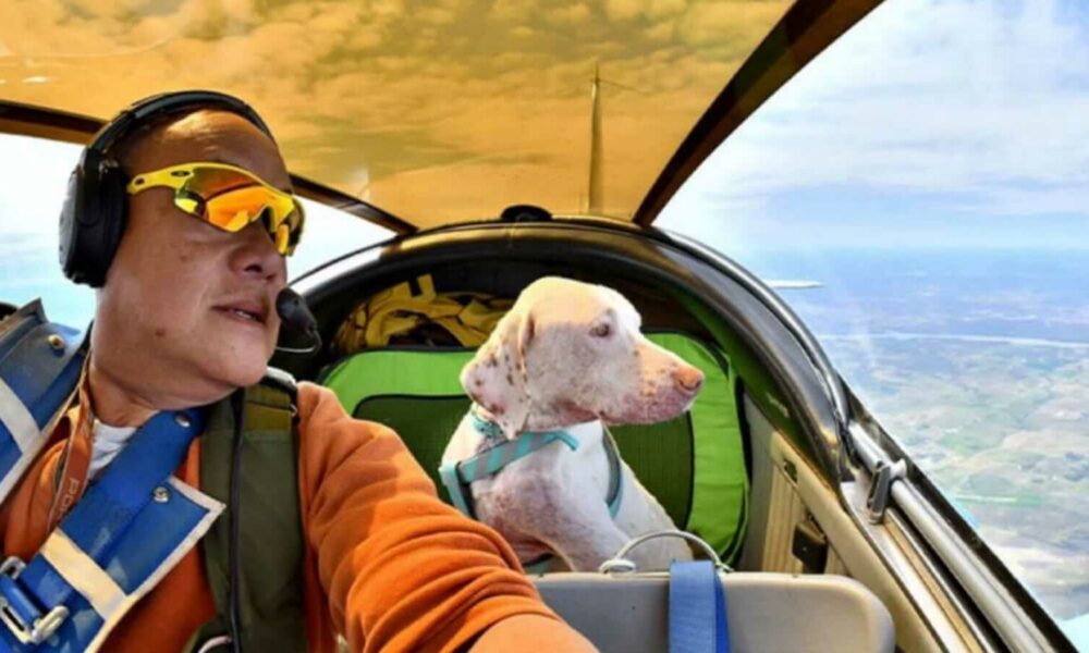 Piloto com cachorro