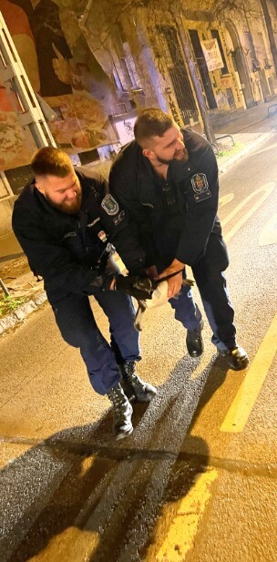 Policiais com pinguim resgatado