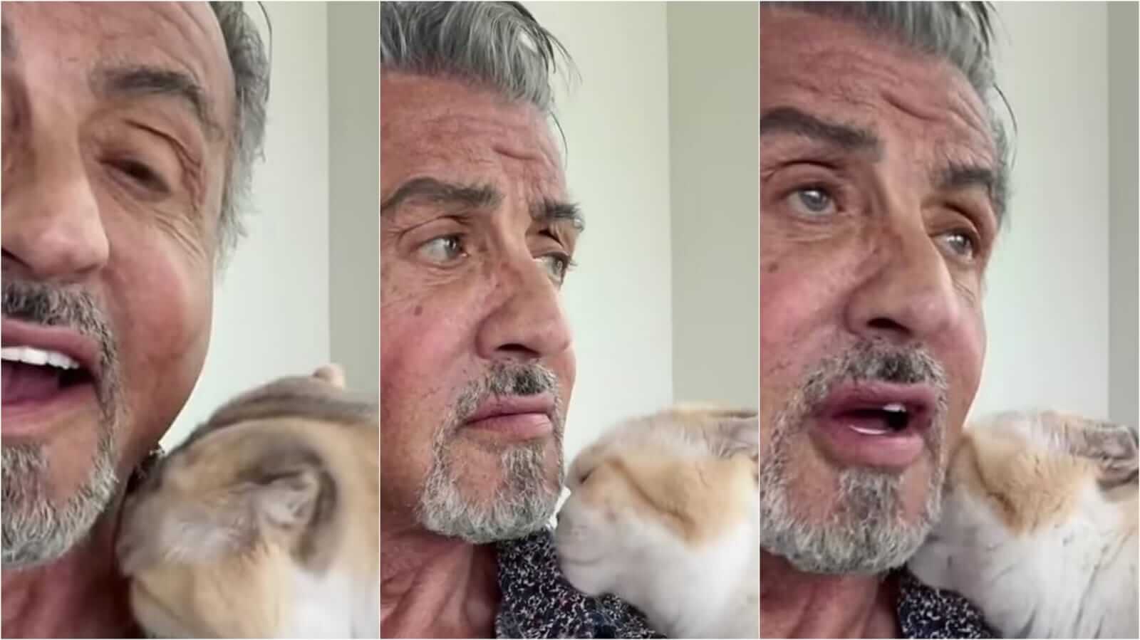 Sylvester Stallone com gato
