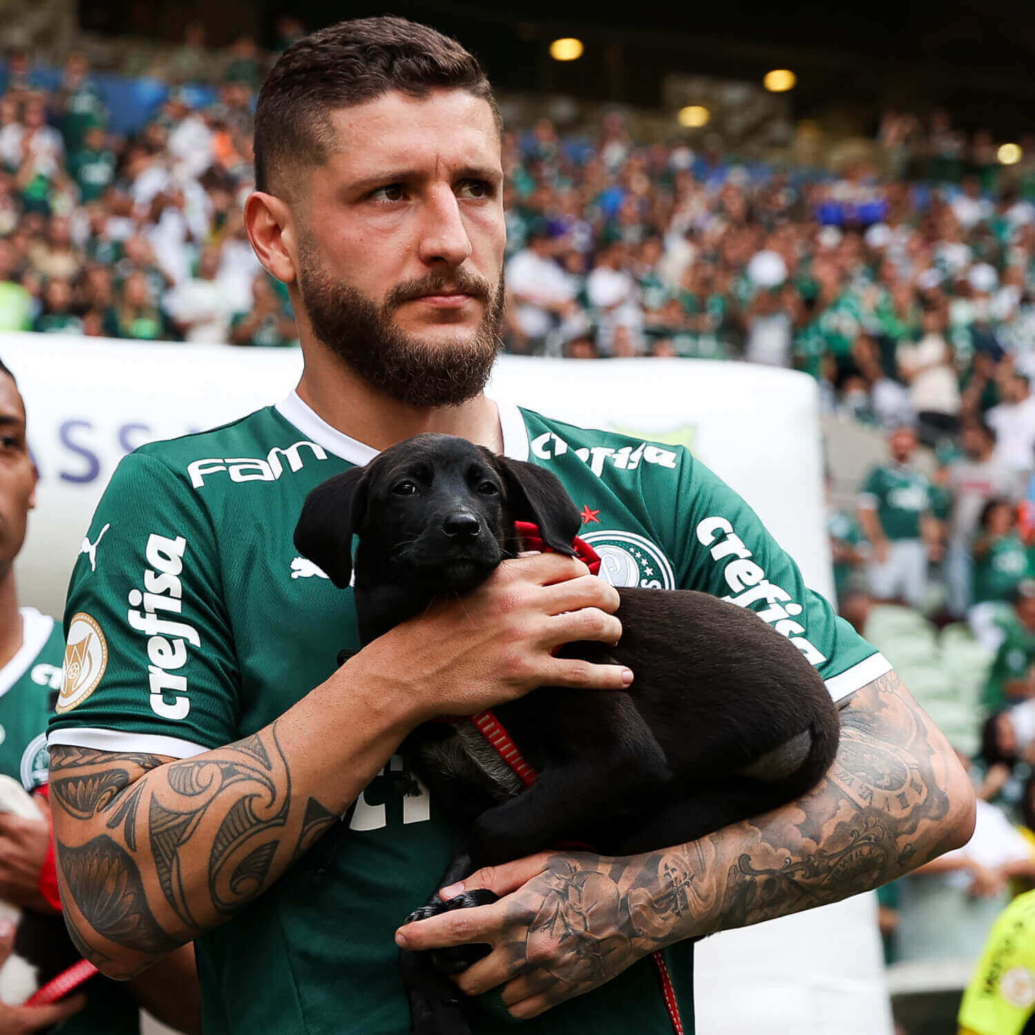 Jogador do Palmeiras com cachorro no colo