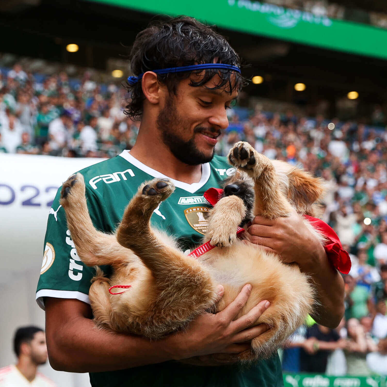Jogador do Palmeiras com cachorro no colo