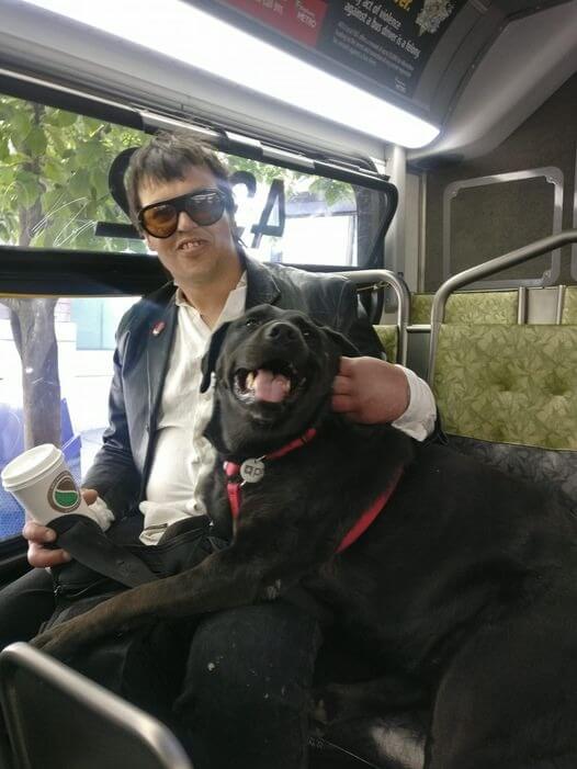 Cachorro em ônibus