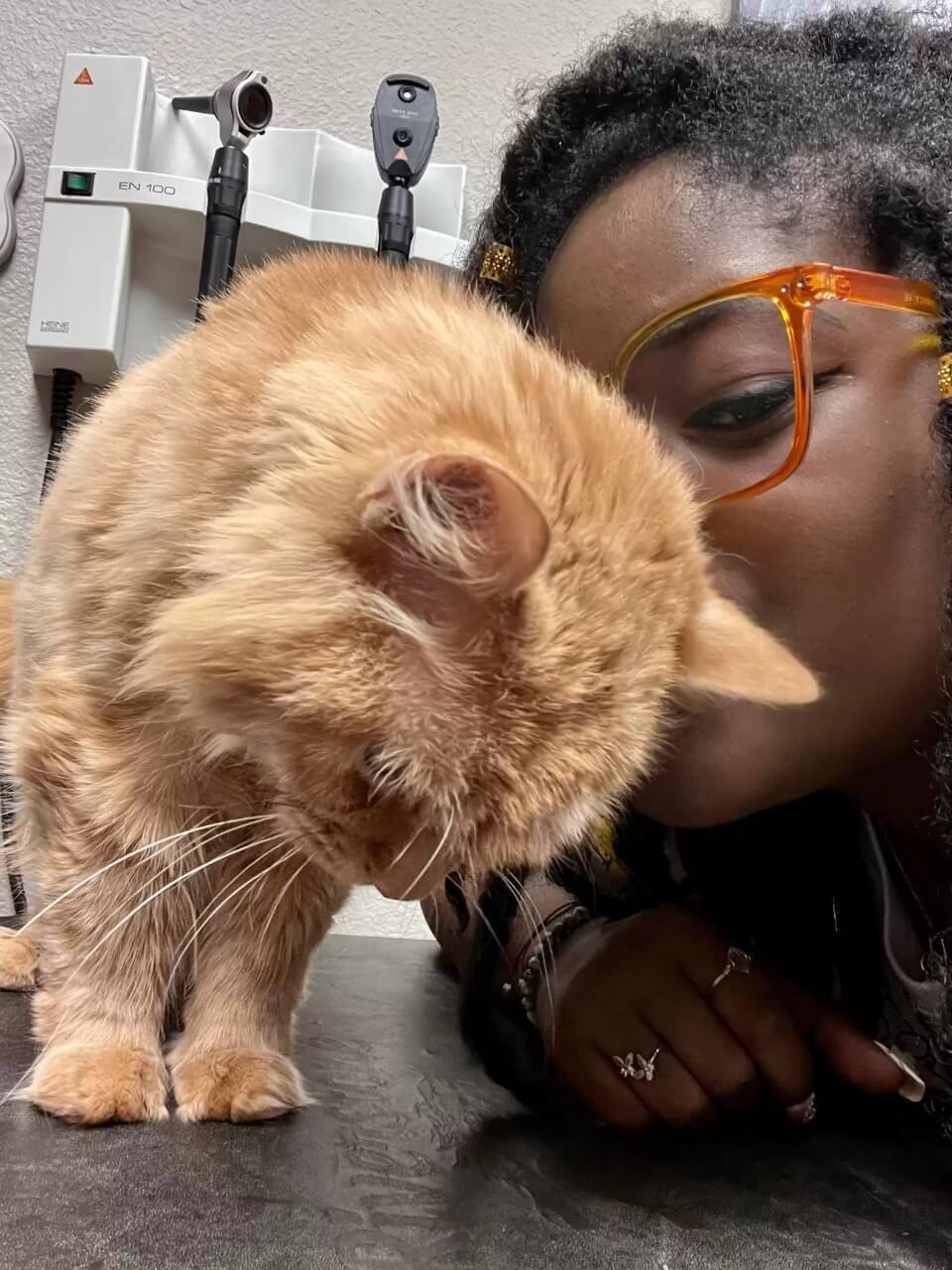 Mulher beijando gato laranja