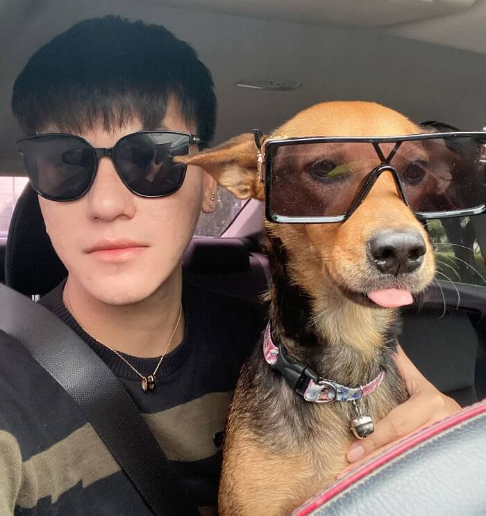 Homem e cachorro de óculos em carro