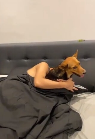 Homem com cachorro na cama