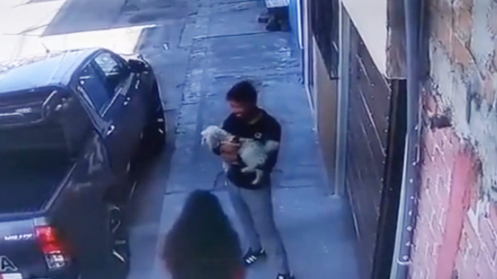 Homem segura cachorro que caiu de prédio
