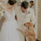 Cachorro vira-lata caramelo com noivos em casamento