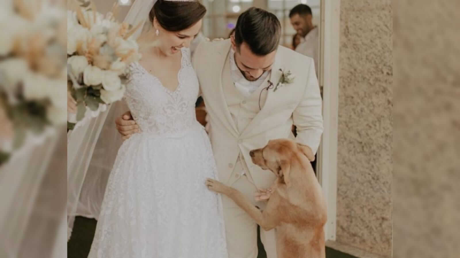 Cachorro vira-lata caramelo com noivos em casamento