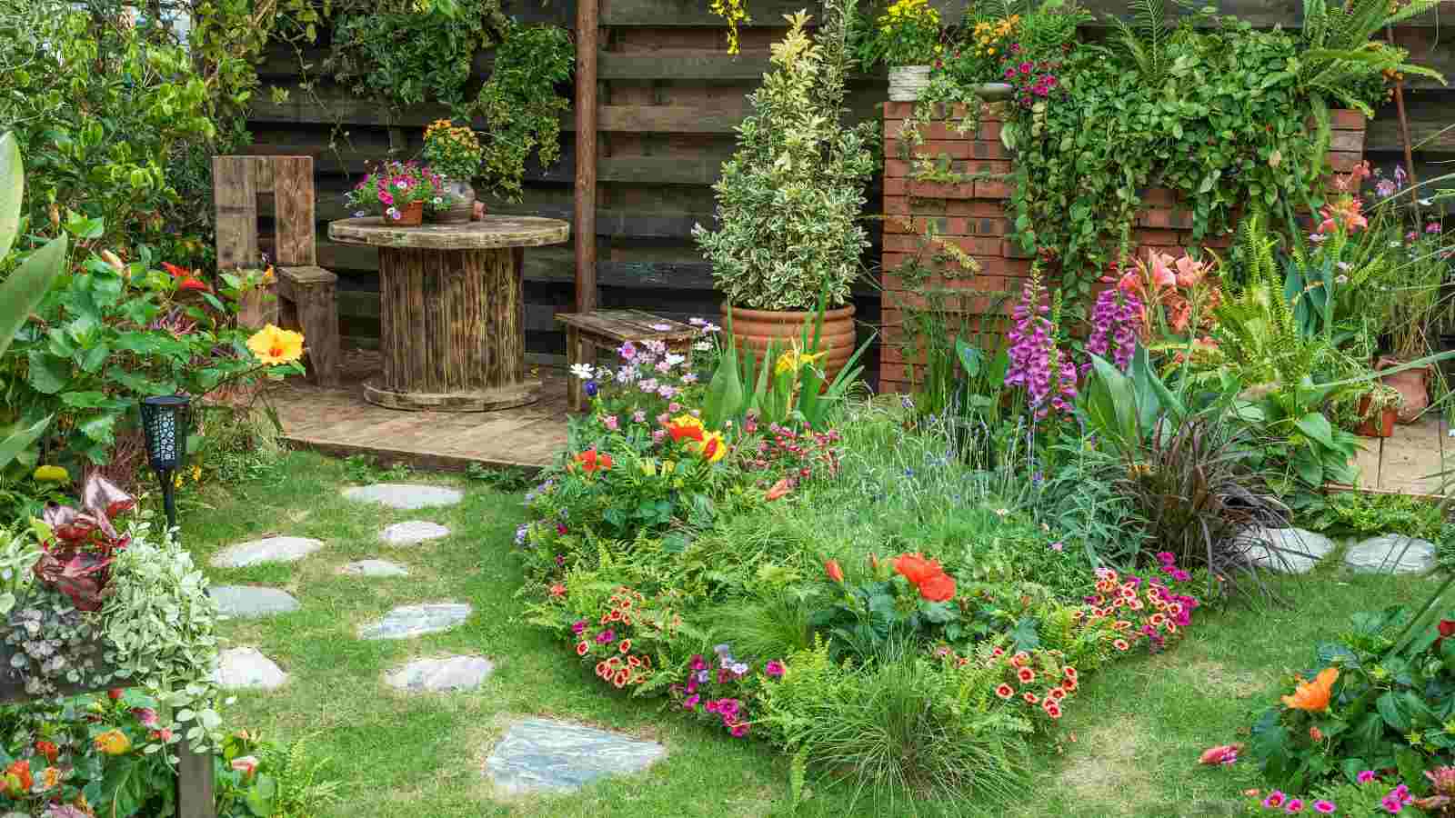 Plantas para jardim: quais são e como adicionar a decoração