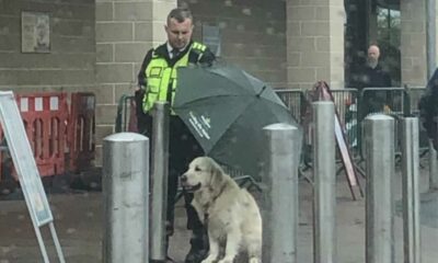 Homem protegendo cachorro da chuva