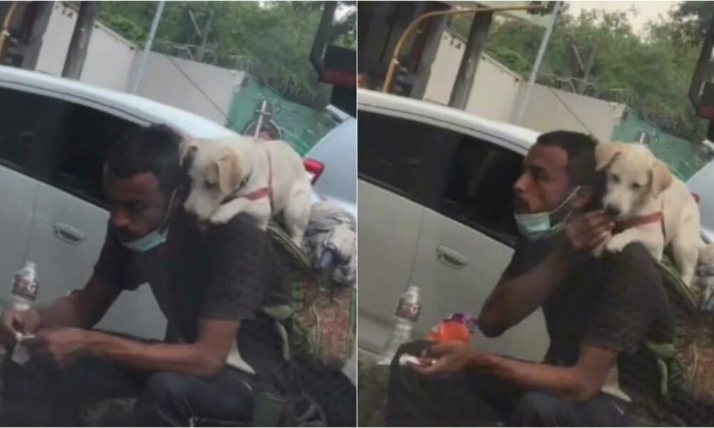 Homem dando comida para cachorro