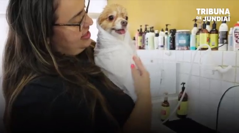 Mulher segurando cachorro enrolado em toalha