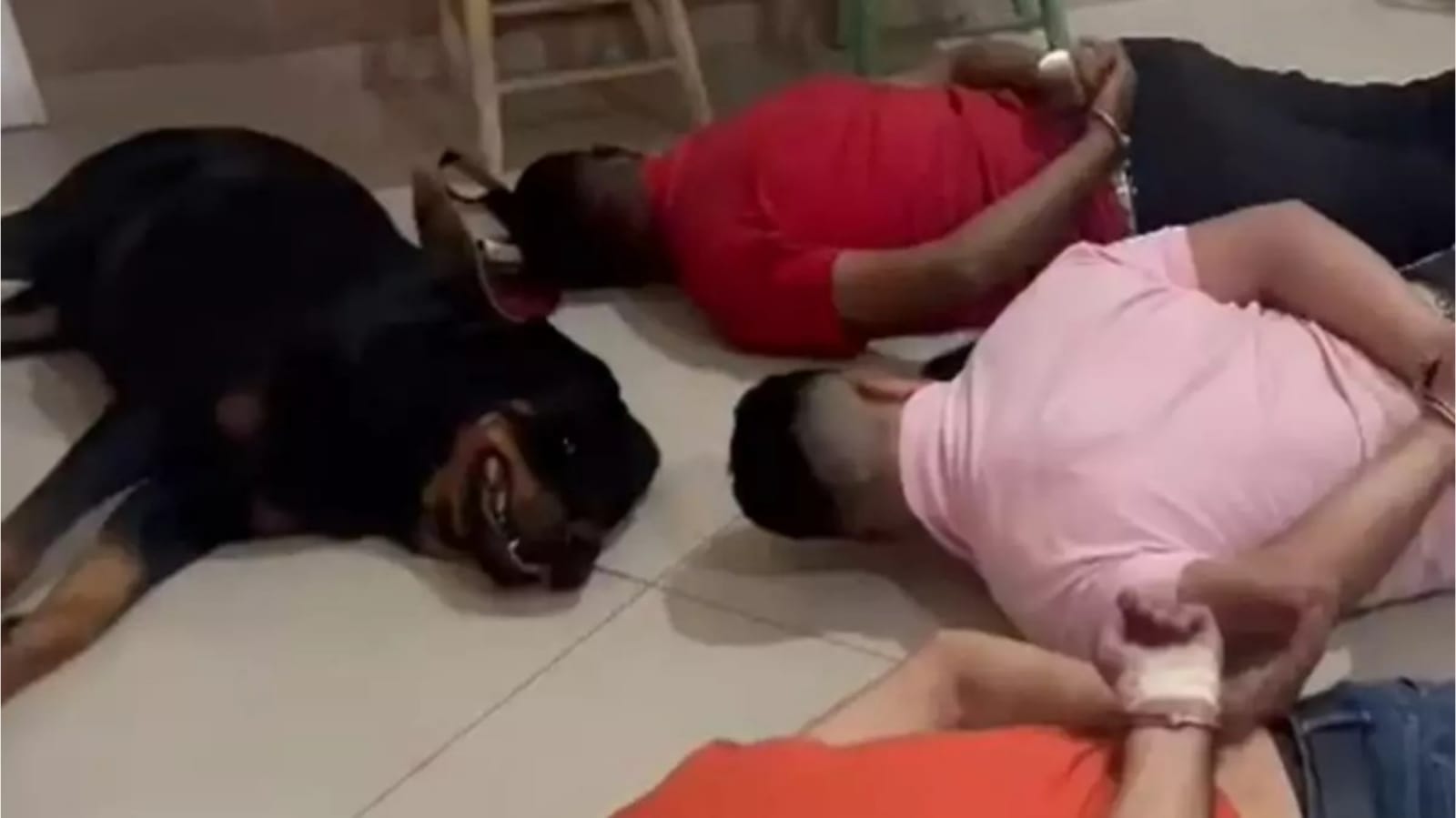 Cachorro deitado com homens no chão