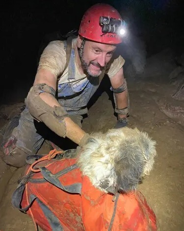 Cachorro resgatado de caverna