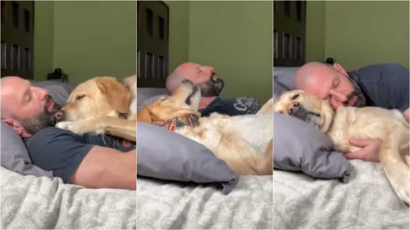 Homem dormindo com cachorro labrador