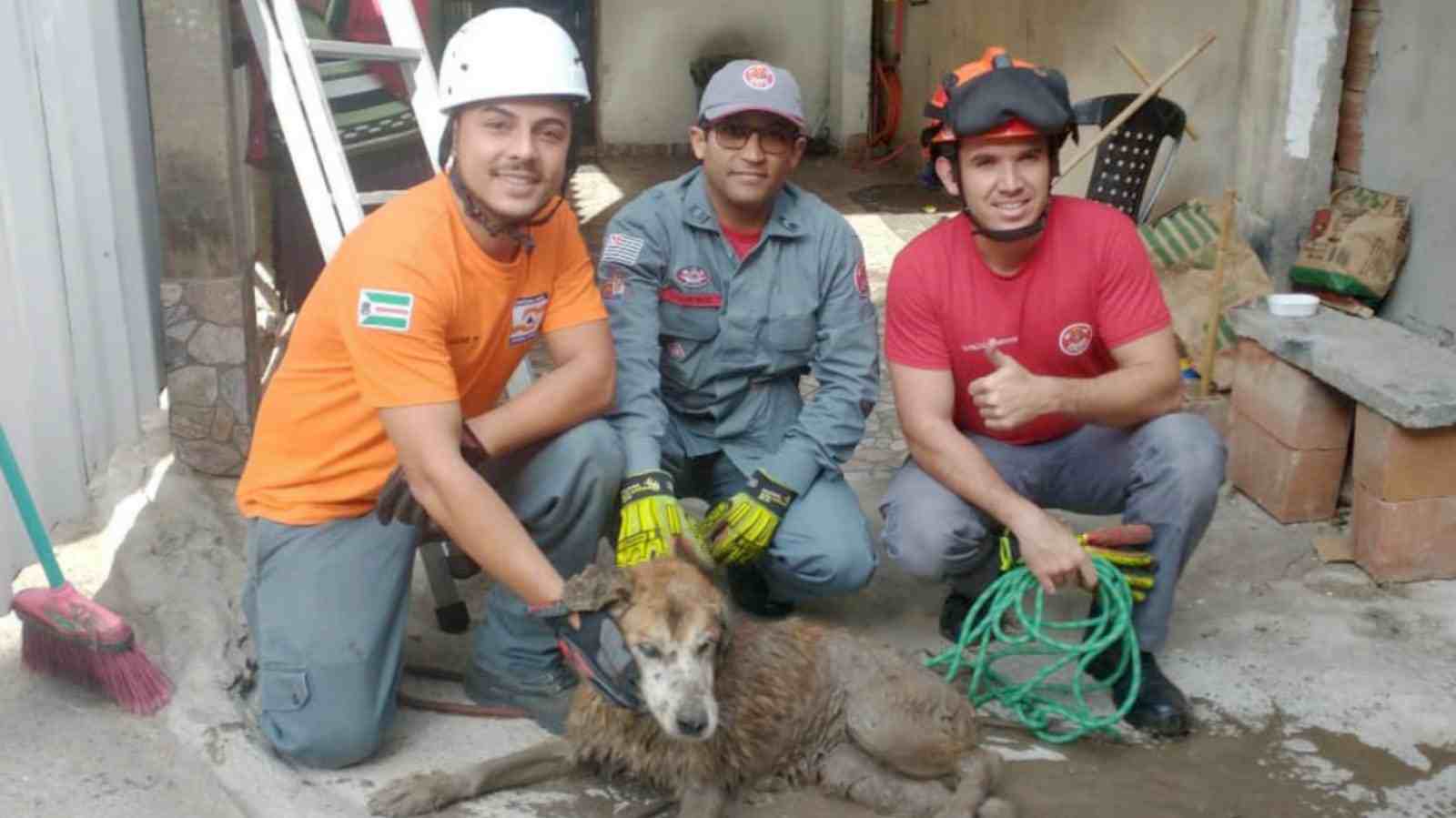 resgate-cachorro-Vila-Real-Várzea-Paulista-compressed